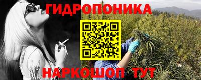 шишки Железногорск