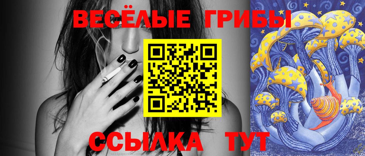 сколько стоит  Галлюциногенные грибы ЛСД  Вход с VPN  Новоалтайск 